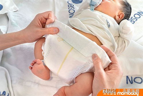 新生兒照護指南 掌握洗澡與哺乳重點，新手父母快速升級育兒達人